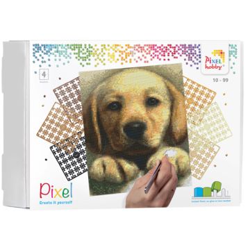 Pixel Hund 20,3x25,4 cm 1 Stück