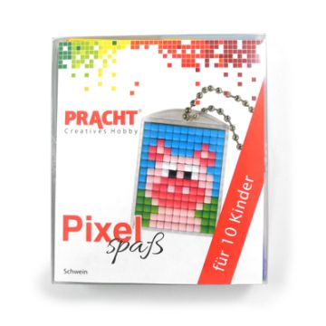 Pixel Set für 10 Kinder Motiv Schwein 1 Set