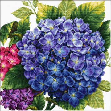 Ladybird Stickset Hortensie 40 x 40 cm