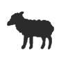 Lamm