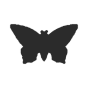 Schmetterling