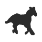 Pferd