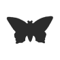 Schmetterling