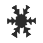 Schneekristall
