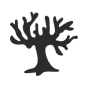 Baum