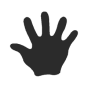 Hand
