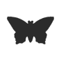 Schmetterling