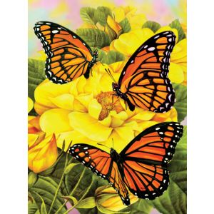 Malen nach Zahlen Junior Schmetterlinge 33x24 cm 3Set 4670-30091 4016490912798  