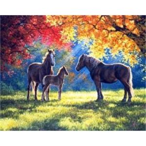 Diamond Painting Pferde im Herbst 40x30 cm 6037-40581 4016490818816  