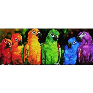 DIAMOND DOTZ Rainbow Parrots 77x30 cm 1St DD10-025 4897073244310  