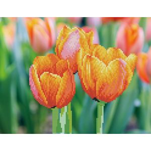 SIMPLY DOTZ Love Tulips 35x27 cm 1St SD3-402 4895225925520  