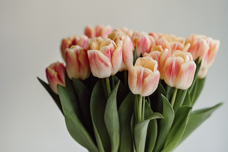 Tulpen für Osterstrauss basteln
